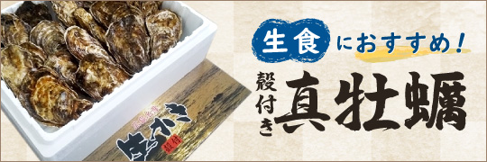 殻付き真牡蠣