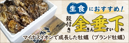 殻付き金垂下